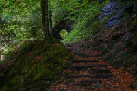 /album/durch-die-aa-schlucht-16-september-2025/aa-schlucht-16-09-2025-35-jpg/